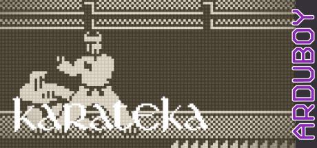 Karateka — steamgrid