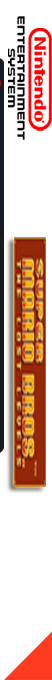 Super Mario Bros. - The Lost Levels — box-2D-side (FR)