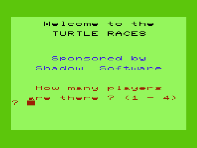 Turtle Races — sstitle (WOR)