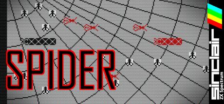 Spider — steamgrid