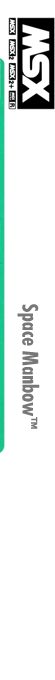 Space Manbow — box-2D-side (JP)