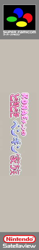 Konae-chan No Dokidoki Penguin Kazoku — box-2D-side (SS)