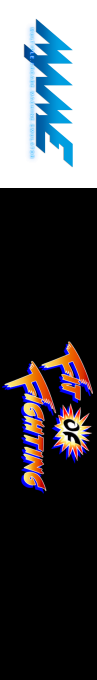 Fit Of Fighting — box-2D-side (WOR)