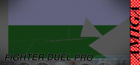 Fighter Duel Pro — steamgrid
