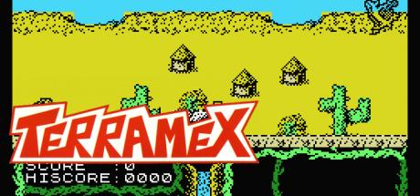 Terramex — steamgrid