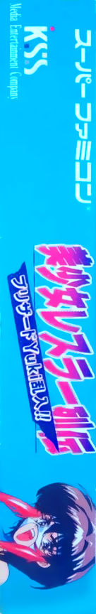 Bishoujo Wrestler Retsuden - Blizzard Yuki Rannyuu!! — box-2D-side (JP)