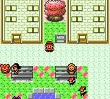Pokemon Coral Version — ss (WOR)