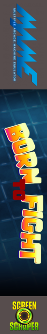 Born To Fight — box-2D-side (SS)