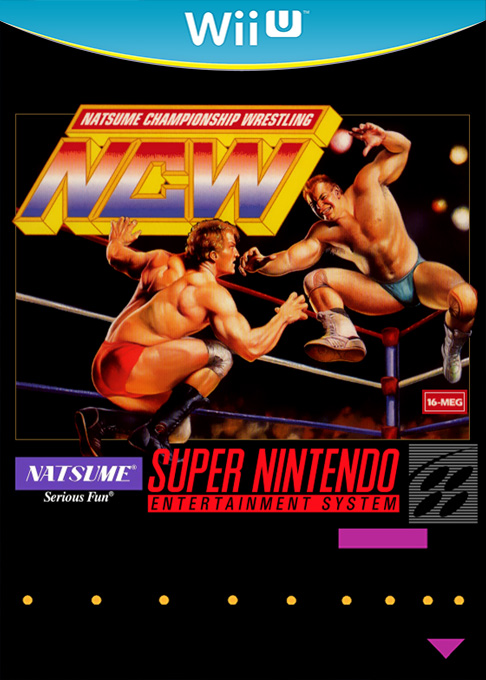 Natsume Championship Wrestling box art
