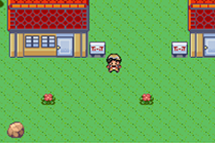 Pokemon : Lunares — ss (WOR)