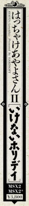 Hacchake Ayayo-san 2 - Ikenai Holiday — box-2D-side (JP)