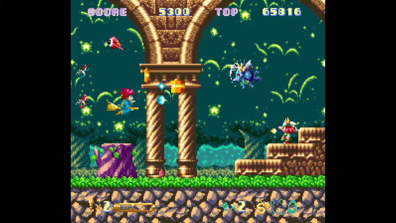 Cotton 100% — ss (WOR)