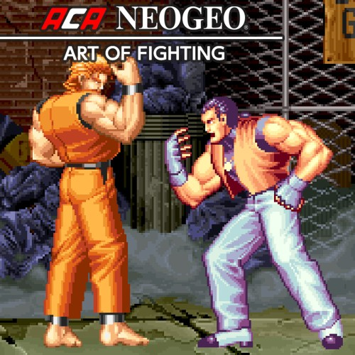 Aca Neogeo Art Of Fighting — support-texture (CUS)