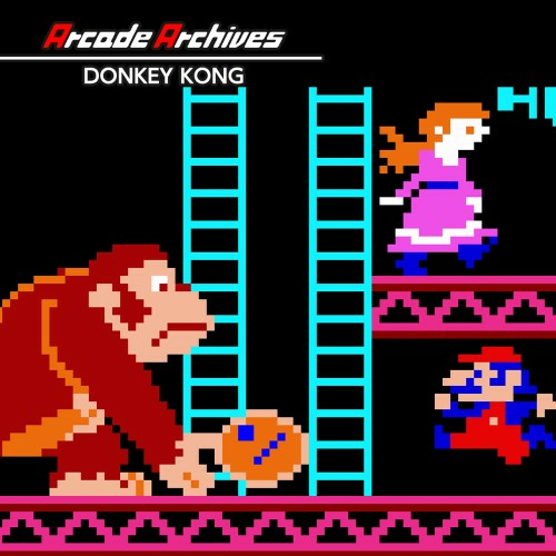 Arcade Archives Donkey Kong — support-texture (CUS)