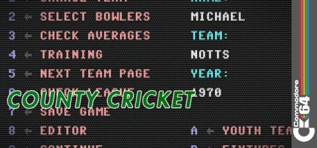 County Cricket — steamgrid