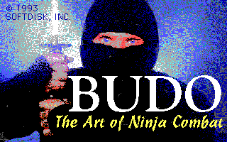 Budo - The Art of Ninja Combat! — sstitle (US)