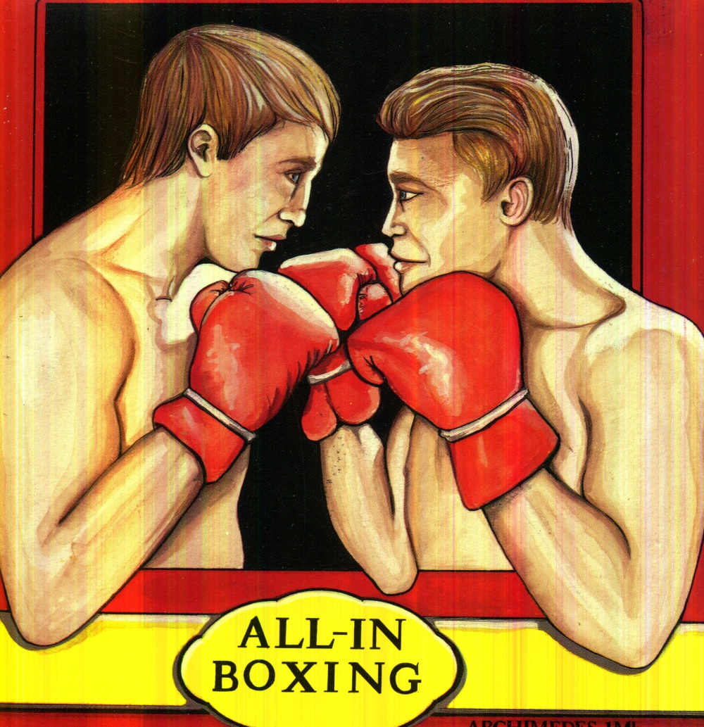 All-In Boxing box art
