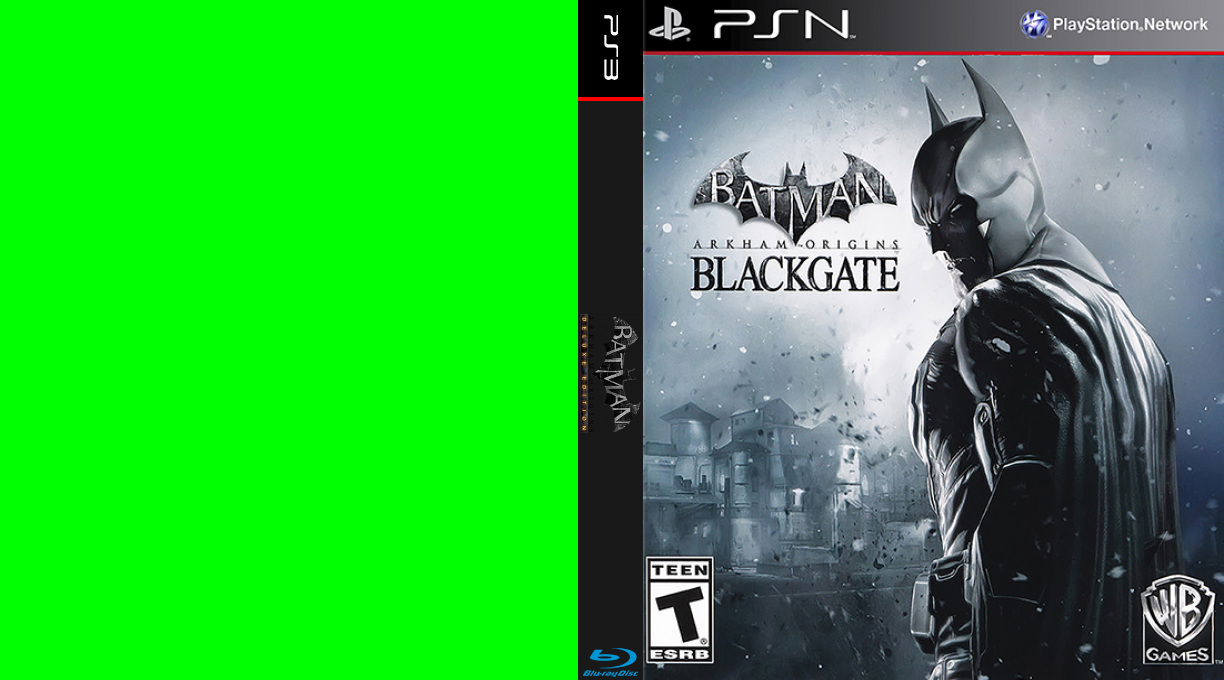 Batman - Arkham Origins - Blackgate Deluxe Edition — box-texture (US)
