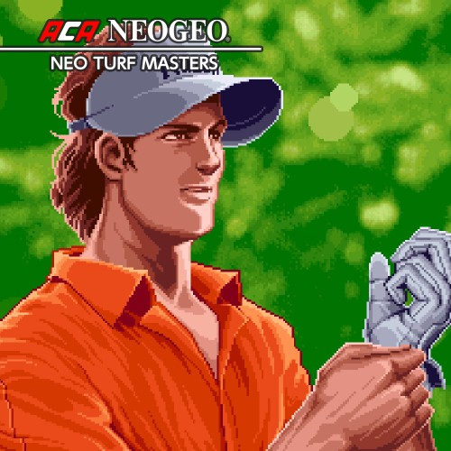 Aca Neogeo Neo Turf Masters — support-texture (CUS)
