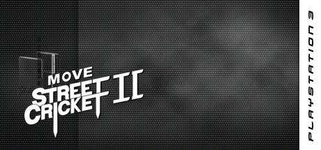 Move Street Cricket II — steamgrid