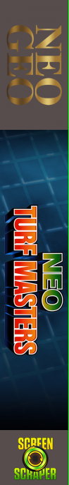 Neo Turf Masters — box-2D-side (SS)