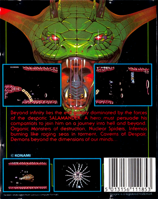 Salamander — box-2D-back (EU)