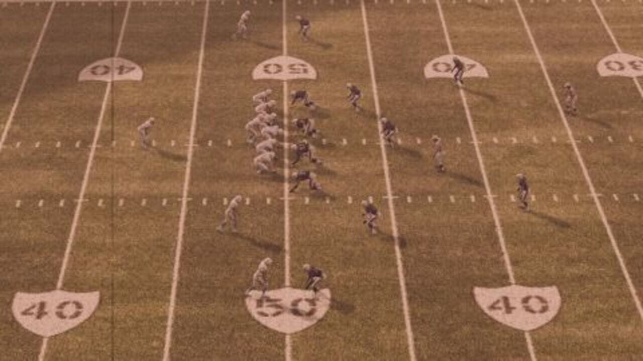 Madden NFL 10 — screenshot (WOR)