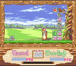 Araiguma Rascal — ss (JP)