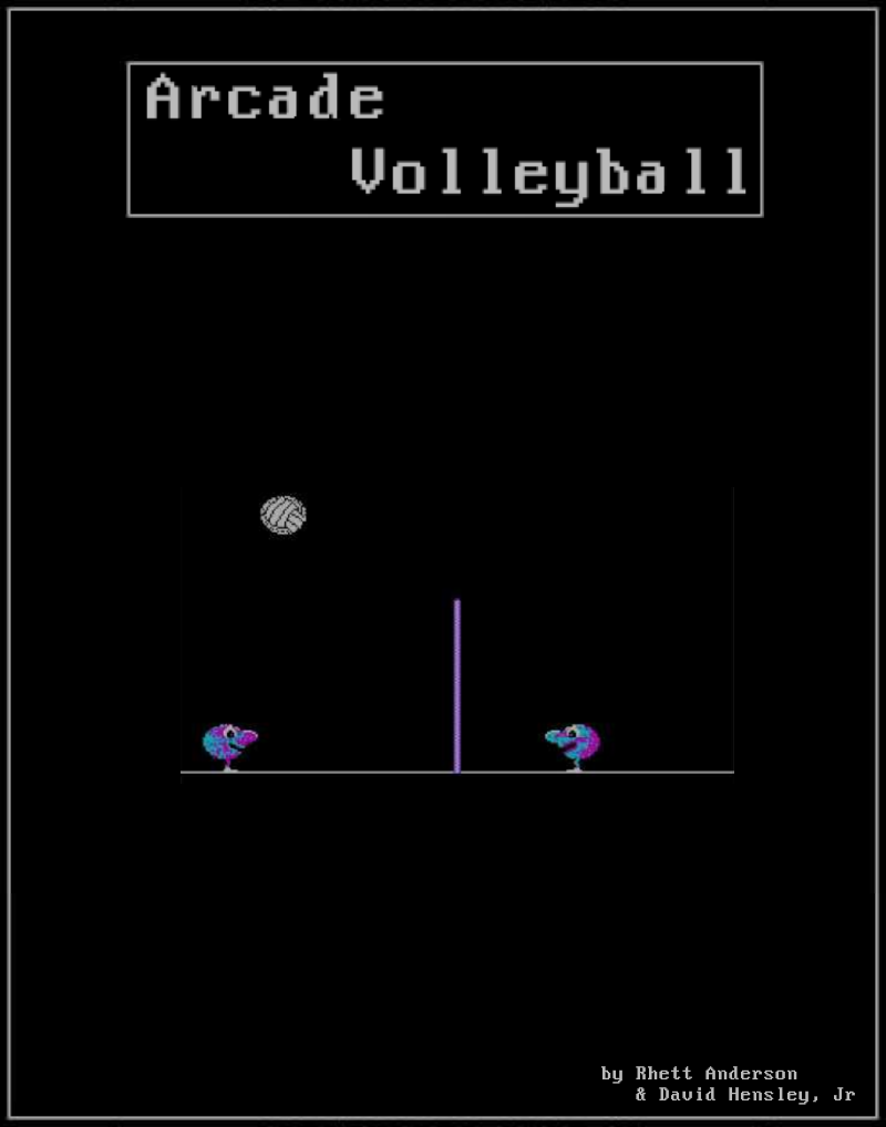 Arcade Volleyball box art