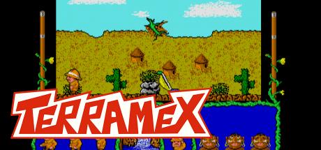 Terramex — steamgrid