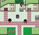 Pokemon XY Naturia — ss (WOR)