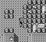 Pokemon - Brown Version — ss (WOR)