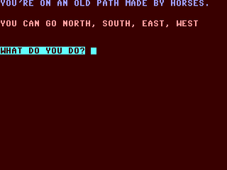 Castle Maze Adventure — ss (WOR)