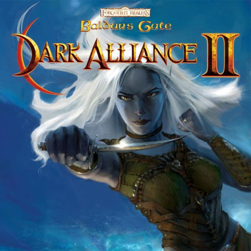 Baldur's Gate: Dark Alliance II — support-texture (CUS)
