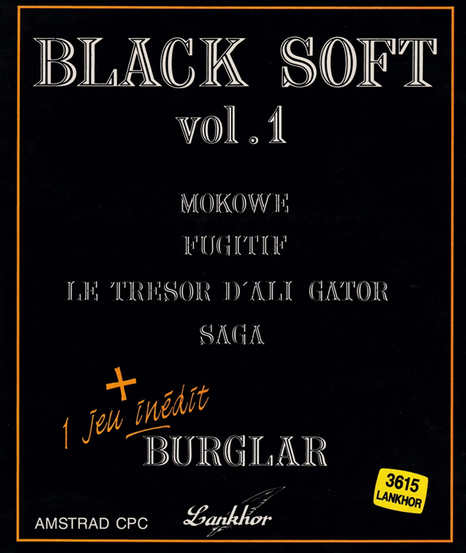 Burglar box art