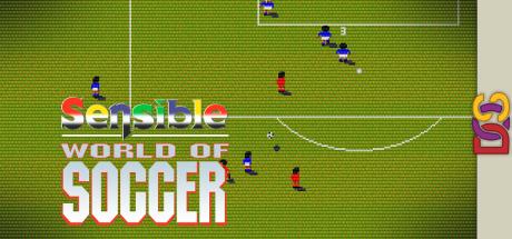 Sensible World Of Soccer — steamgrid