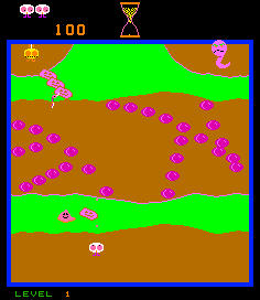 Igmo — ss (WOR)