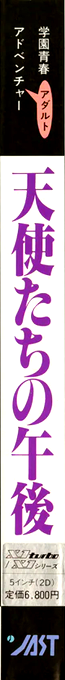 Tenshi-tachi No Gogo — box-2D-side (JP)