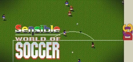 Sensible World Of Soccer - European Championship Edition — steamgrid