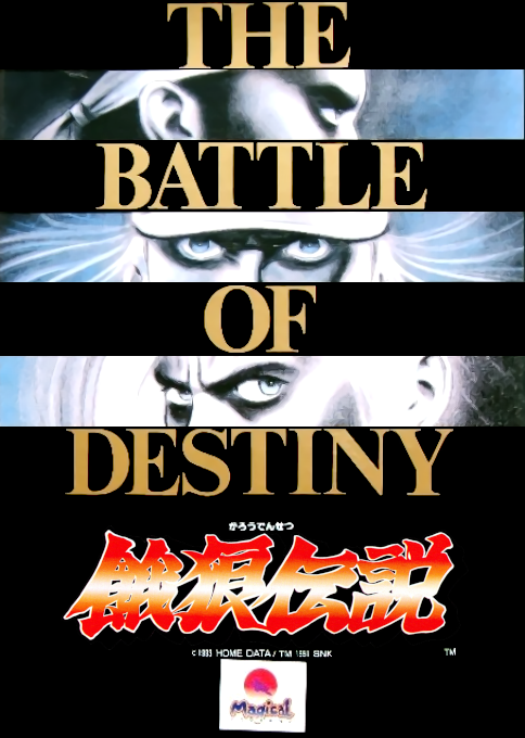 Garou Densetsu box art