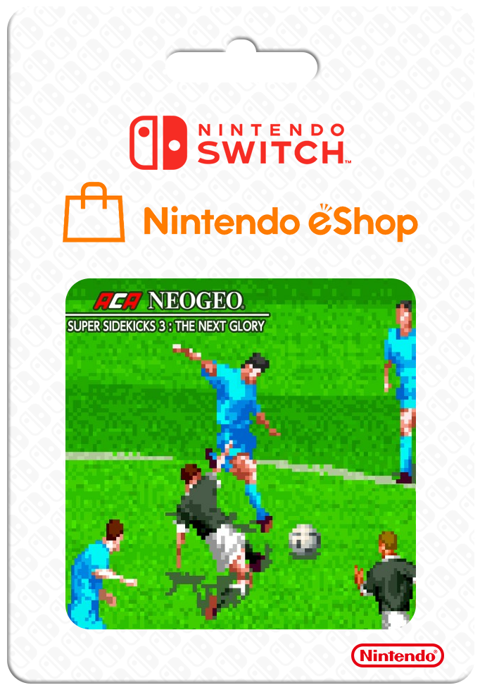 Aca Neogeo Super Sidekicks 3 The Next Glory — support-2D (CUS)