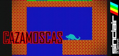 Cazamoscas — steamgrid
