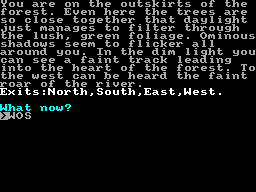 Castle Thade Revisited — ss (WOR)