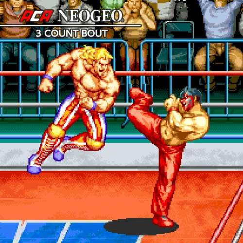 Aca Neogeo 3 Count Bout — support-texture (CUS)