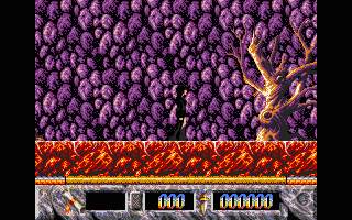 Elvira - The Arcade Game — ss (WOR)