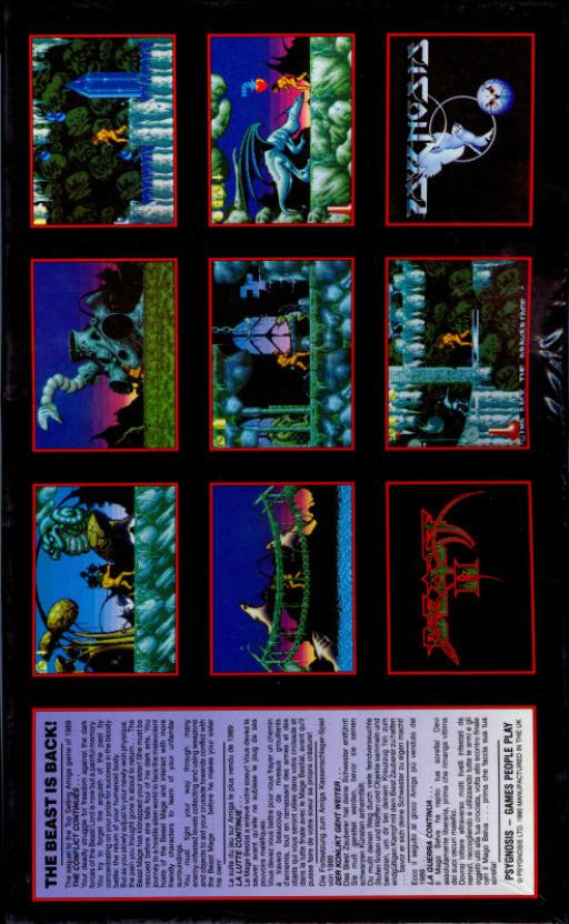 Shadow of the Beast II — box-2D-back (WOR)