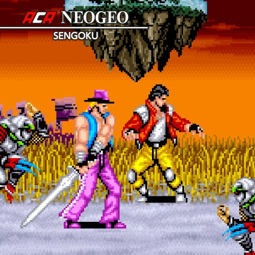 Aca Neogeo Sengoku — support-texture (CUS)