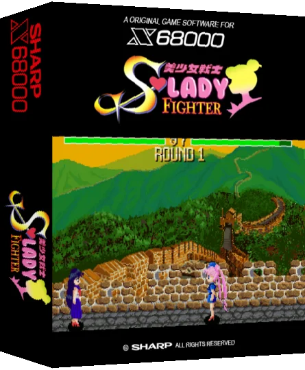 Bishoujo Senshi Lady Fighter — box-3D (SS)