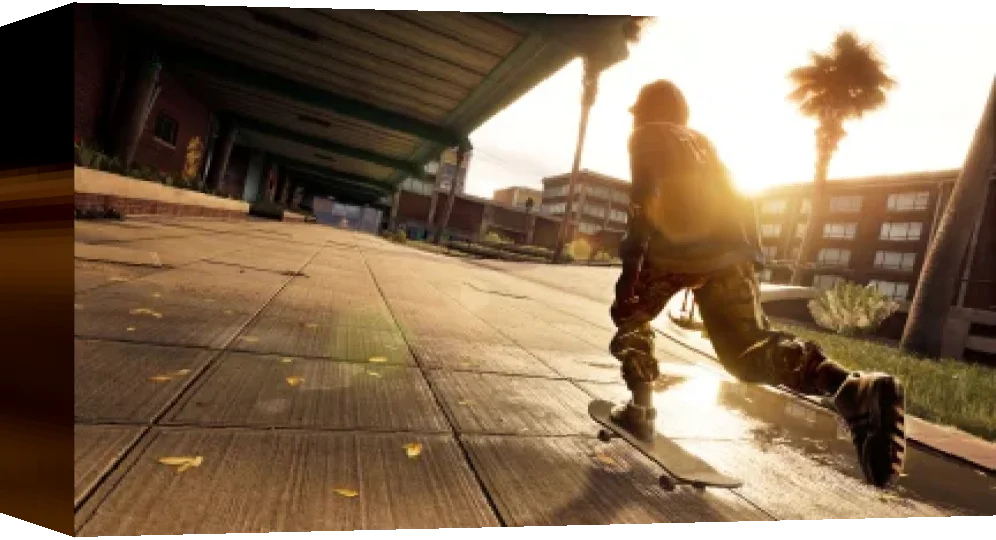 Tony Hawk's Pro Skater 5 — box-3D (US)
