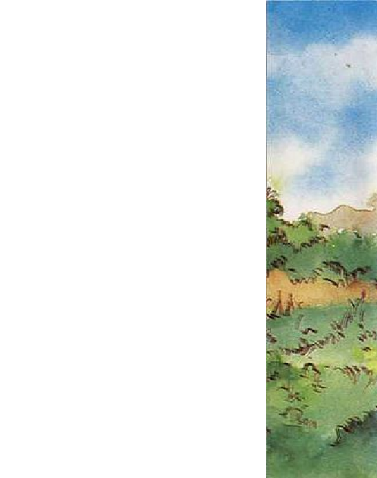 Rabbit Pie — box-2D-back (EU)